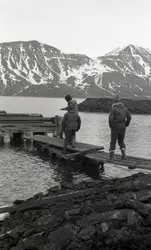 To-takteren, dugnad i småbathavna.