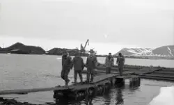 To-takteren, dugnad i småbathavna.