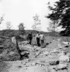 Trollhättan. Slottsön