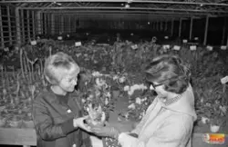 Två kvinnor som står i en blomsterhandel.
Från vänster 1.okä