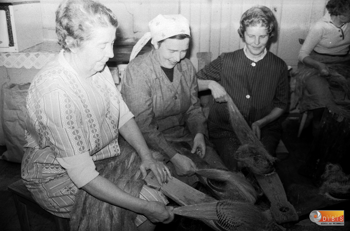 Linberedning CKF Damer