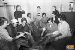 Linberedning CKF Damer