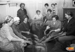 Linberedning CKF Damer