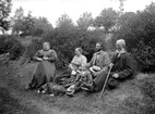 Prov på bygdefotografen A C Hultgrens förmåga att ingjuta förtroende i de som lät sig fotograferas. Vi kan exempelvis nog ana att var ett tag sedan hemmansägare August Peter Alexandersson lät sig slå sig ned i gröngräset, åtminstone finklädd. För hustrun Karolina Hansdotter var den gränsen nådd och det bars fram en stol. Dem emellan ser vi makarnas dotter Selma och svärsonen Enok Samuelsson med barnen Dagmar och Melker. Platsen är trädgården till det äldre parets gård Viggesbo och fototillfället kan utifrån barnens uppskattade ålder bestämmas till 1903 eller nära inpå.