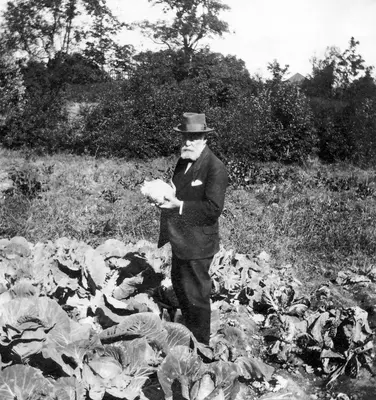 Otto Aamodt i kålhagen.