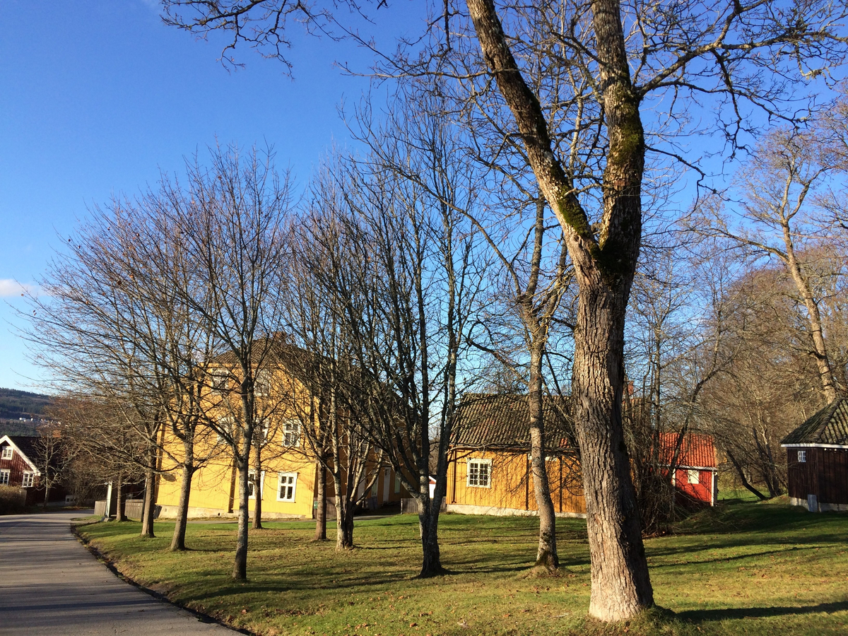 Aamodtgården, hovedbygning