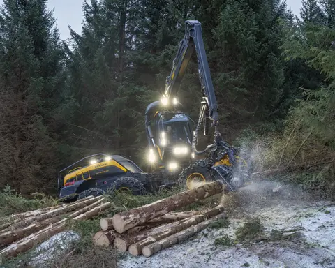 Maskinell skogavvirkning på åsryggen mellom Skjelstad og Hustoft, ikke langt fra Leines i Steigen kommune i Nordland vinteren 2026. Hogstmaskinen som ble brukt var fra den finske produsenten Ponsse. Den besto av en rammestyrt traktor med fire akslinger – to under motordelen og to under førerhuset og den leddete armen som endte i et såkalt aggregat, som besto av ei kraftig gripeklo og et skjæreapparat med kjede, som på ei motorsag. Hjulene på de to fremre akslingene var forbundet med belter som skulle fordele marktrykket over større flater. Ved felling plasseres gripekloa slik at den omslutter den nedre delen av stammen. Så kappes treet like over bakken før det veltes kontrollert over ende. Deretter roteres et par kjettingbelagte gummihjul, slik at stammen trekkes gjennom gripekloa, som har kraftige stålarmer med kniver som skjærer vekk greinene. Samtidig registreres lengde- og kvalitetsinformasjon, som danner grunnlag for kappeforslag på en monitor i førerhuset. Ferdigkappet tømmer plasseres på begge sider av den traséen maskinen har kjørt under hogsten. Derfra ble det seinere plukket opp på en lassbærer – en lastetraktor med kran og gripeklo – som fraktet det i terrenget fram til en velteplass ved bilveg. I den regionen der dette fotografiet er tatt var det to maskinentreprenørselskaper som påtok seg slike oppdrag - Salten Skogservice AS og Allskog entreprenør, som har en avdeling i Salten og en i Vesterålen. Her var det det sistnevnte miljøet som sto for drifta. Maskinførerne oppgav til fotografen som tok dette bildet at det skulle avvirkes mellom 5 000 og 6 000 kubikkmeter tømmer. Denne hogsten foregikk i et bestand av sitkagran som sannsynligvis var plantet i den mest aktive skogreisingsperioden i 1950- eller 1960-åra. Dette er ytterligere kommentert under fanen «Opplysninger».