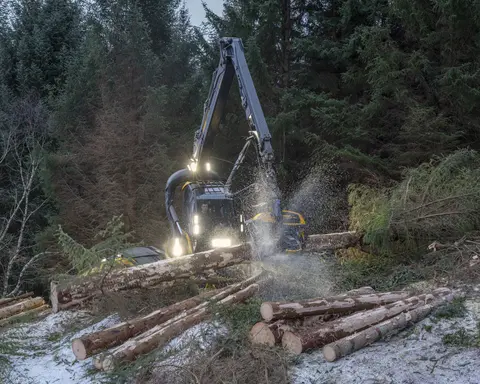 Maskinell skogavvirkning på åsryggen mellom Skjelstad og Hustoft, ikke langt fra Leines i Steigen kommune i Nordland vinteren 2026. Hogstmaskinen som ble brukt var fra den finske produsenten Ponsse. Den besto av en rammestyrt traktor med fire akslinger – to under motordelen og to under førerhuset og den leddete armen som endte i et såkalt aggregat, som besto av ei kraftig gripeklo og et skjæreapparat med kjede, som på ei motorsag. Hjulene på de to fremre akslingene var forbundet med belter som skulle fordele marktrykket over større flater. Ved felling plasseres gripekloa slik at den omslutter den nedre delen av stammen. Så kappes treet like over bakken før det veltes kontrollert over ende. Deretter roteres et par kjettingbelagte gummihjul, slik at stammen trekkes gjennom gripekloa, som har kraftige stålarmer med kniver som skjærer vekk greinene. Samtidig registreres lengde- og kvalitetsinformasjon, som danner grunnlag for kappeforslag på en monitor i førerhuset. Ferdigkappet tømmer plasseres på begge sider av den traséen maskinen har kjørt under hogsten. Derfra ble det seinere plukket opp på en lassbærer – en lastetraktor med kran og gripeklo – som fraktet det i terrenget fram til en velteplass ved bilveg. I den regionen der dette fotografiet er tatt var det to maskinentreprenørselskaper som påtok seg slike oppdrag - Salten Skogservice AS og Allskog entreprenør, som har en avdeling i Salten og en i Vesterålen. Her var det det sistnevnte miljøet som sto for drifta. Maskinførerne oppgav til fotografen som tok dette bildet at det skulle avvirkes mellom 5 000 og 6 000 kubikkmeter tømmer. Denne hogsten foregikk i et bestand av sitkagran som sannsynligvis var plantet i den mest aktive skogreisingsperioden i 1950- eller 1960-åra. Dette er ytterligere kommentert under fanen «Opplysninger».