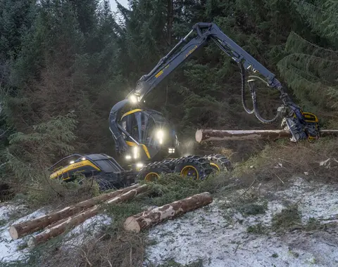 Maskinell skogavvirkning på åsryggen mellom Skjelstad og Hustoft, ikke langt fra Leines i Steigen kommune i Nordland vinteren 2026. Hogstmaskinen som ble brukt var fra den finske produsenten Ponsse. Den besto av en rammestyrt traktor med fire akslinger – to under motordelen og to under førerhuset og den leddete armen som endte i et såkalt aggregat, som besto av ei kraftig gripeklo og et skjæreapparat med kjede, som på ei motorsag. Hjulene på de to fremre akslingene var forbundet med belter som skulle fordele marktrykket over større flater. Ved felling plasseres gripekloa slik at den omslutter den nedre delen av stammen. Så kappes treet like over bakkenivå før det veltes kontrollert over ende. Deretter roteres et par kjettingbelagte gummihjul, slik at stammen trekkes gjennom gripekloa, som har kraftige stålarmer med kniver som skjærer vekk greinene. Samtidig registreres lengde- og kvalitetsinformasjon, som danner grunnlag for kappeforslag på en monitor i førerhuset. Ferdigkappet tømmer plasseres på begge sider av den traséen maskinen har kjørt under hogsten. Derfra ble det seinere plukket opp på en lassbærer – en lastetraktor med kran og gripeklo – som fraktet det i terrenget fram til en velteplass ved bilveg. I den regionen der dette fotografiet er tatt var det to maskinentreprenørselskaper som påtok seg slike oppdrag - Salten Skogservice AS og Allskog entreprenør, som har en avdeling i Salten og en i Vesterålen. Her var det det sistnevnte miljøet som sto for drifta. Maskinførerne oppgav til fotografen som tok dette bildet at det skulle avvirkes mellom 5 000 og 6 000 kubikkmeter tømmer. Denne hogsten foregikk i et bestand av sitkagran som sannsynligvis var plantet i den mest aktive skogreisingsperioden i 1950- eller 1960-åra. Dette er ytterligere kommentert under fanen «Opplysninger».