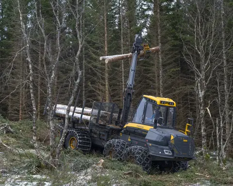 Oppsamling av kappet tømmer på et hogstfelt på åsryggen mellom Skjelstad og Hustoft mot velteplassen på Skjelstad i Steigen kommune i Nordland vinteren 2026. Arbeidet utføres ved hjelp av en såkalt lassbærer – en rammestyrt lastetraktor med ei hydraulisk kran med gripeklo som løftet stokkene opp på tilhengeren. Lassbæreren skulle gå på stikkveger gjennom hogstfeltet og plukke med seg både grove enkeltstokker og knipper av grannere stokker som hogstmaskinen hadde lagt igjen på begge sider av stikkvegene. I den regionen der dette fotografiet er tatt var det to maskinentreprenørselskaper som påtok seg slike oppdrag - Salten Skogservice AS og Allskog entreprenør, som har en avdeling i Salten og en i Vesterålen. Her var det det sistnevnte miljøet som sto for drifta. Terrengtransporten av tømmeret ble utført med en lassbærer fra den finske produsenten Ponsse. Kjøretøyet hadde to akslinger med brede, kjettingbelagte hjul under traktoren og en boggiløsning med belter på tilhengerdelen. Maskinførerne oppgav til fotografen som tok dette bildet at det skulle avvirkes mellom 5 000 og 6 000 kubikkmeter sitkatømmer.