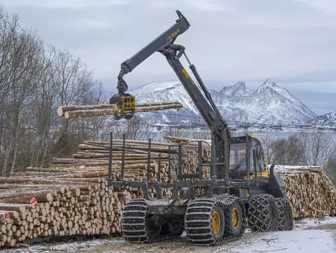 Avvirkning av sitkagran i Steigen kommune i Salten-regionen i Nordland fylke vinteren 2026. Hogsten fant sted på åsryggen mellom Skjelstad og Hustoft nær Leines, og tømmeret ble i første omgang kjørt til velteplassen på Skjelstad ved hjelp av en lassbærer med hydraulisk kran og gripeklo som gjorde det enkelt å samle tømmeret på hogstfeltet og lesse det av på velteplassen. Derfra skulle det etter hvert kjøres videre til tømmerkaia på Storskjæret. I den regionen der dette fotografiet er tatt var det to maskinentreprenørselskaper som påtok seg slike oppdrag - Salten Skogservice AS og Allskog entreprenør, som har en avdeling i Salten og en i Vesterålen. Her var det det sistnevnte miljøet som hadde drifta. Maskinførerne oppgav til fotografen som tok dette bildet at det skulle avvirkes mellom 5000 og 6000 kubikkmeter tømmer. 

Her dreide det seg om sitkagran (Picea sitchensis) - et vestamerikansk treslag. Forstmannen Anton Smitt (1883-1970) var på en ekspedisjon i de store skogområdene langs den nordamerikanske Stillehavskysten i 1916-17 og med med blant annet sitkafrø. Forsøksplantninger viste tidlig at dette treslaget greide seg bedre enn alle andre bartrær i den saltmettete lufta langs den vindeksponerte ytterkysten. På slike lokaliteter - blant annet den nevnte i Steigen - var det derfor sitkagran man satset på i skogreisingsarbeidet etter 2. verdenskrig. Det ble plantet om lag utplantet ca. 500 000 dekar med sitkagran i Norge, hvorav om lag 137 000 i Nordland fylke. Dette kan høres mye ut, også fordi sitkagrana mange steder vokser fort. Sitkavolumene er likevel såpass små at de norske sagbrukene ikke har vågd å satse på dette treslaget. Sagtømmeret blir derfor samlet i båtlaster og eksportert, mens de dårligste stokkene blir energivirke. I 2009 vedtok Stortinget et naturmangfoldlov med en svært restriktiv holdning til utenlandske arter, og siden da har sitkabestandene vært under utfasing.
