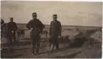 Inspektion 1902