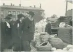 Höstmarknad på Vaksala torg, Uppsala 1913