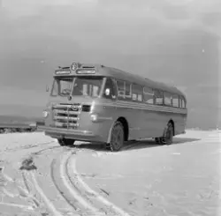 Ny buss til Frøya Billag