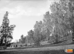 Förmodligen en del av Hagaåsen i Haga Norrala.