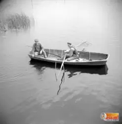 Två män i en träeka.