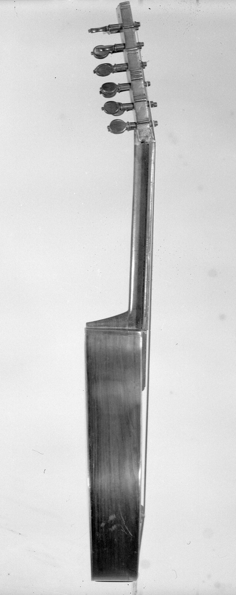 Cister med päronformad hals och ett runt resonanshål. Lång hals. Tolv stämskruvar i ett huvud som är platt. Inte som på en fiol. 