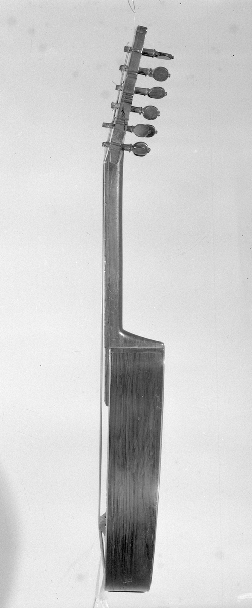 Cister med päronformad hals och ett runt resonanshål. Lång hals. Tolv stämskruvar i ett huvud som är platt. Inte som på en fiol. 