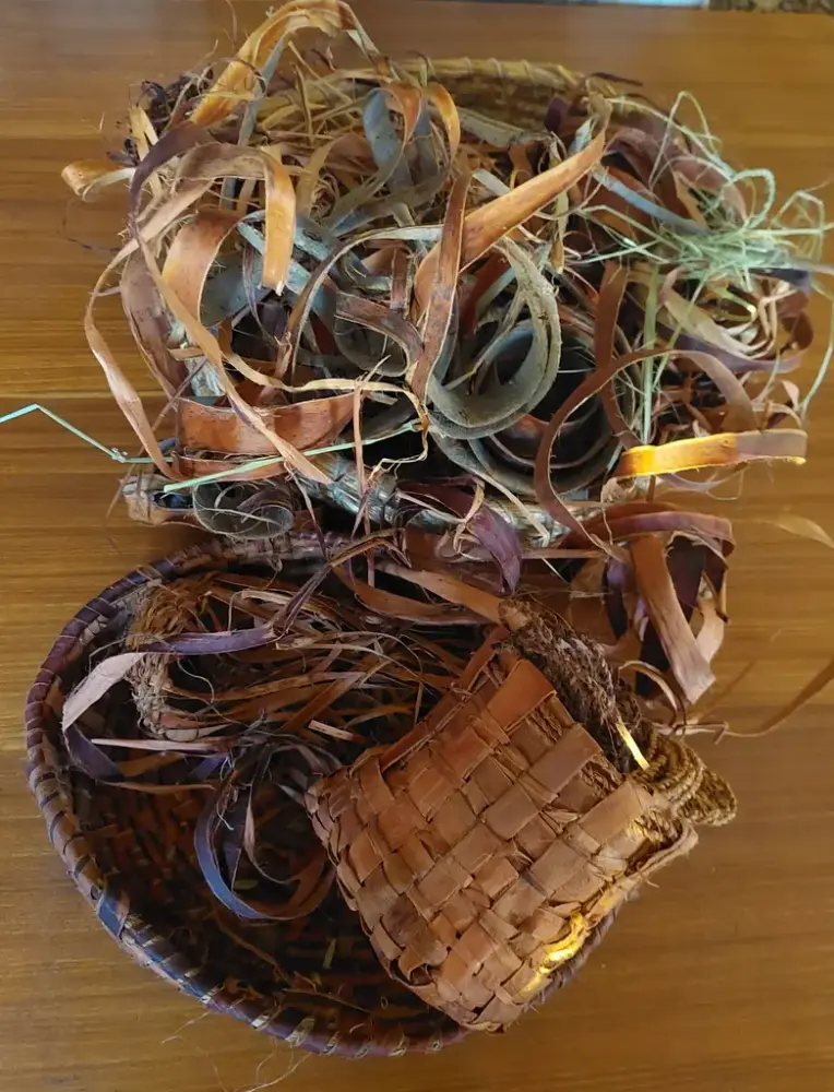 Viser bark som har blitt delt opp i tynne strimler og er muligens i bruk til å lage en kurv.