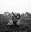 Potatisplockning 1942. 
Några unga kvinnor kånkar iväg med en säck potatis på en åker. I
bakgrunden syns några bostadshus.