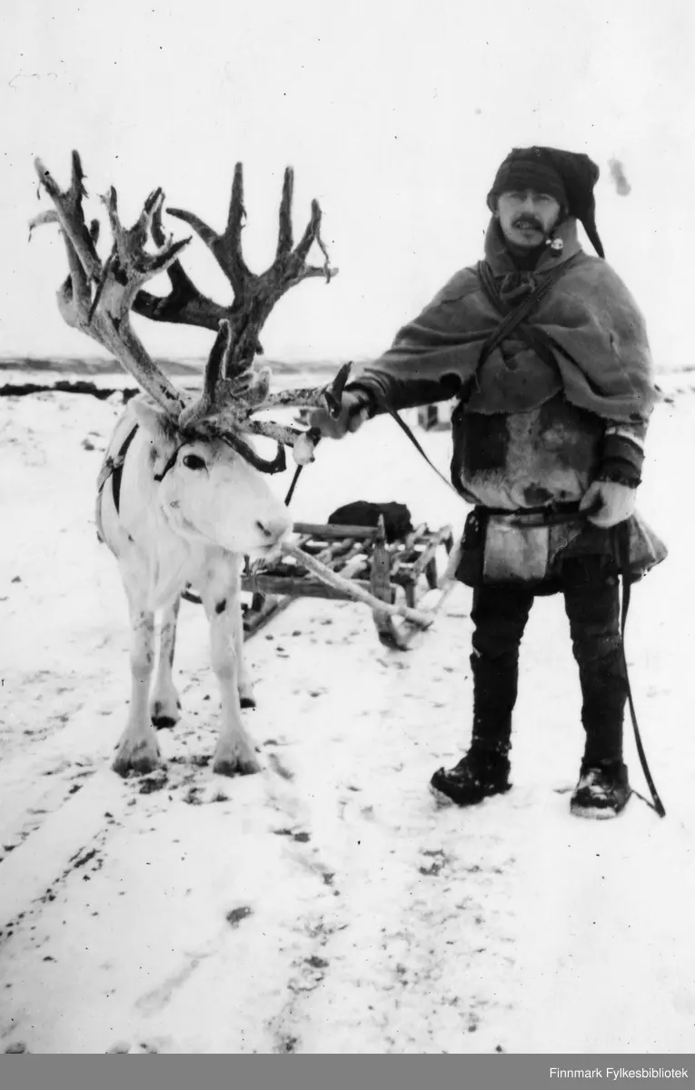 Samisk mann med sin kjørerein i Lakselv i november 1940. Fototekst ...