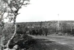 De siste sovjetiske avdelinger forlater Norge.