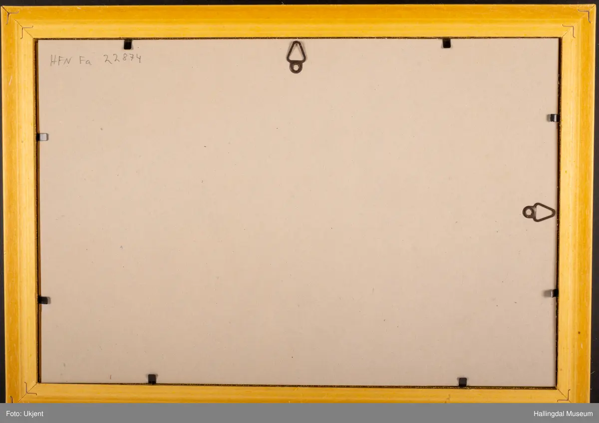 Gruppe
Styret i Hallingdal Museum. Fra v Kolbjørn Høva, Halvor Lindahl, Torill Thømt og Paul Breiehagen.
