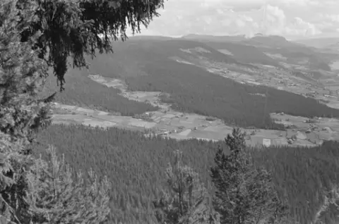 Ringebu. Gårdsbruk sør for ringebu.