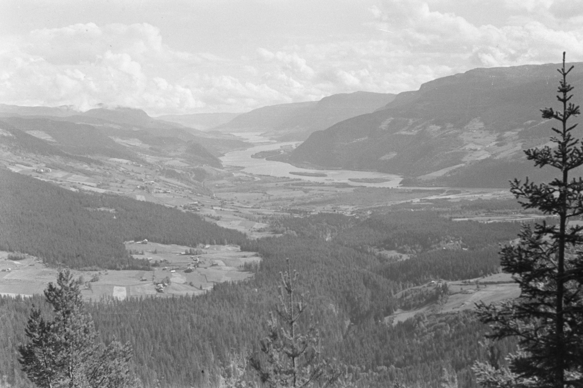 Ringebu. Gårdsbruk sør for ringebu.