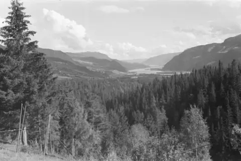 Ringebu. Utsyn nordover Gudbrandsdalen.