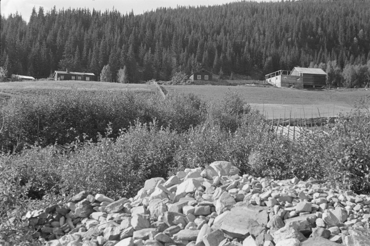 Ringebu. Småbruk i Ringebu.