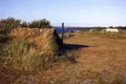 Medföljande text: "Hummerfiskarstugor på norra stranden. Kon