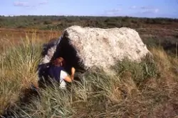 Medföljande text: "Hummerfiskarstugor på norra stranden. Kon