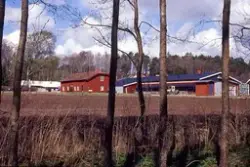 Medföljande text: "Från bäcken mot bebyggelse, Catharinaskog