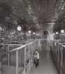 Motala Rundradiostn 1962. Interiör. Sändarsal.