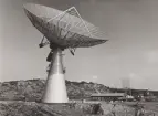 Råö Televerkets satellitradiostn. Radioteleskopet, även använt för mottagning av över telesatelliter reläade telefonsamtal och TV.