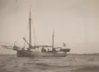 Kabeln Barsebäck - Charlottenlund, år 1921. Förundersökning.