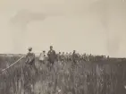 Kabeln Sverige - Tyskland 2, 1921.