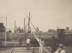 Kabeln Sverige - Tyskland 2, 1921.