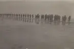 Kabeln Sverige - Tyskland 2, 1921.