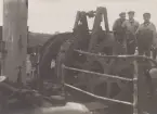 Kabeln Sverige - Tyskland 2, 1921.