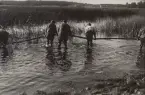 Finlandskabelns utläggning aug. 1928.