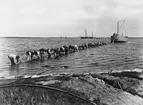 3:dje Tysklandskabeln 1927.