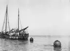3:dje Tysklandskabeln 1927.
