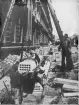 Kabelarbeten i Malmö. Omkring 1890.