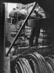 Kabelfel vid Jakobsbergsgatan år 1956.