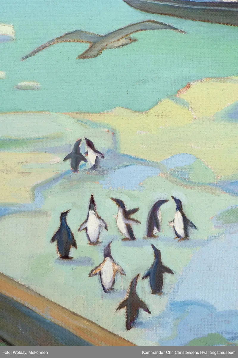 Fra Leith Harbour og Husvik Harbour. Grytviken, Syd-Georgia.