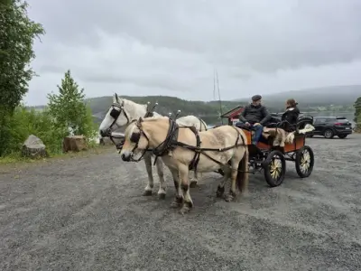 Hest og vogn på parkeringsplassen til Lauvlia