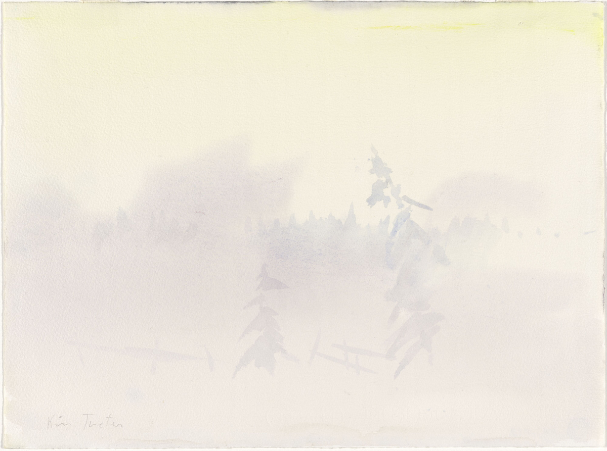 Tåke over myren [Tegning]