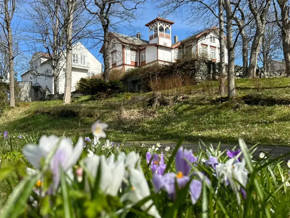 Gamle trebygninger på toppen av en bakke, med blomster og trær foran